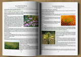 The Lost Book of Herbal Remedies (paperback with color pictures)